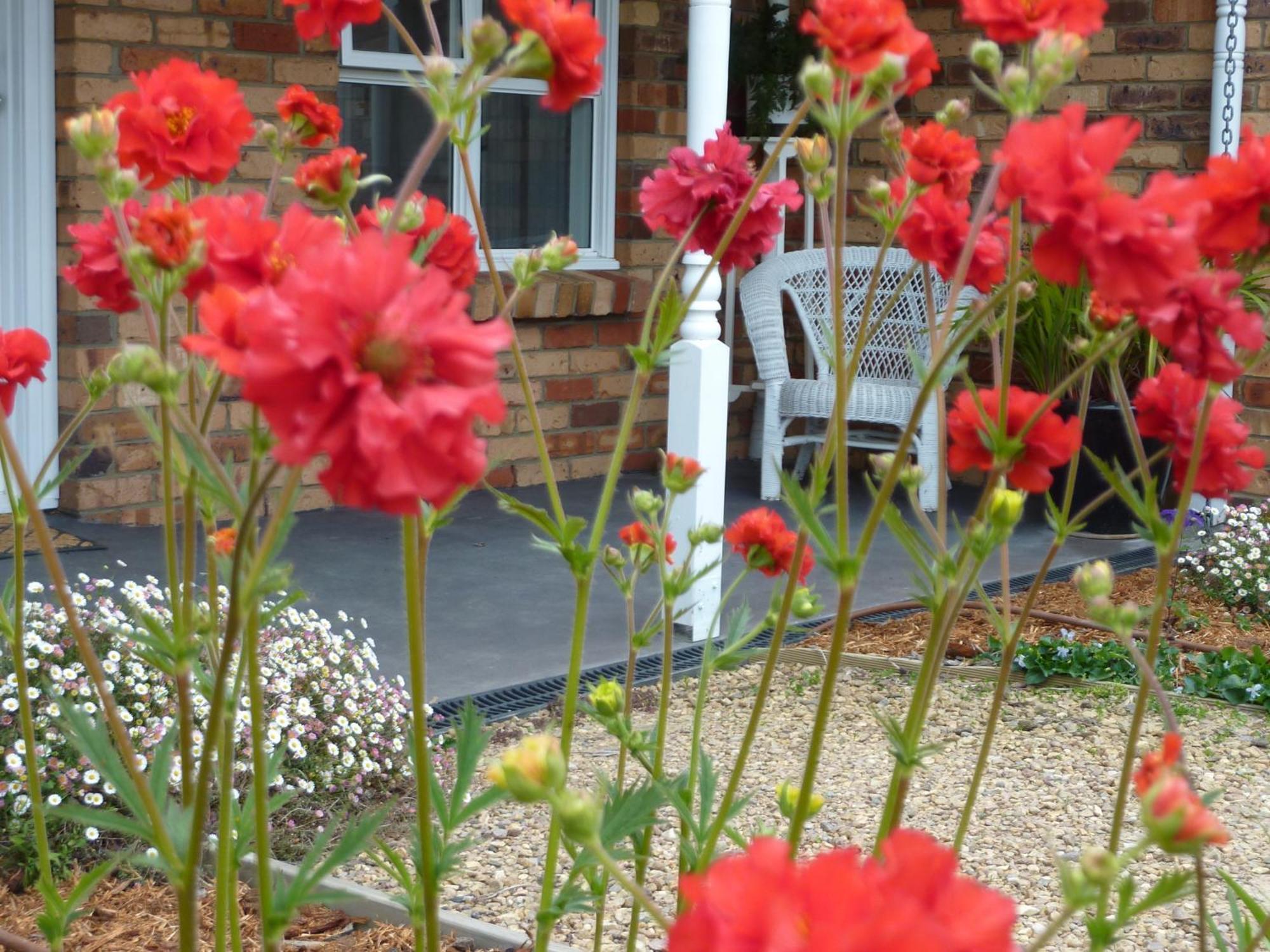 Exeter Hazelcreek Cottages מראה חיצוני תמונה