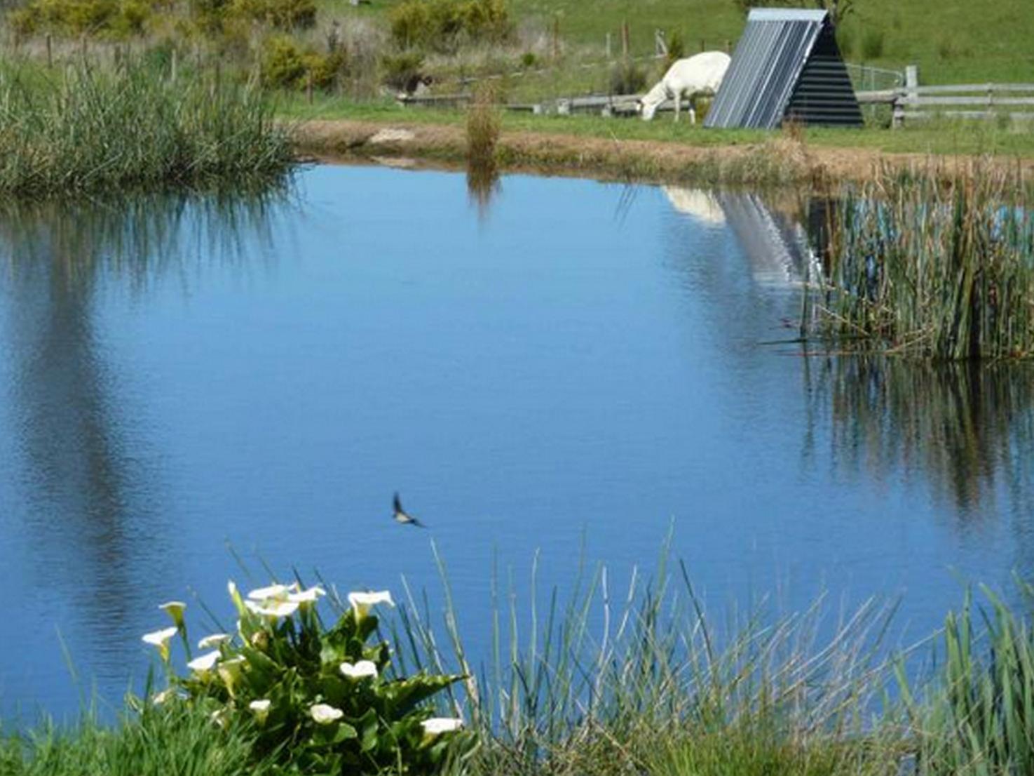 Exeter Hazelcreek Cottages מראה חיצוני תמונה