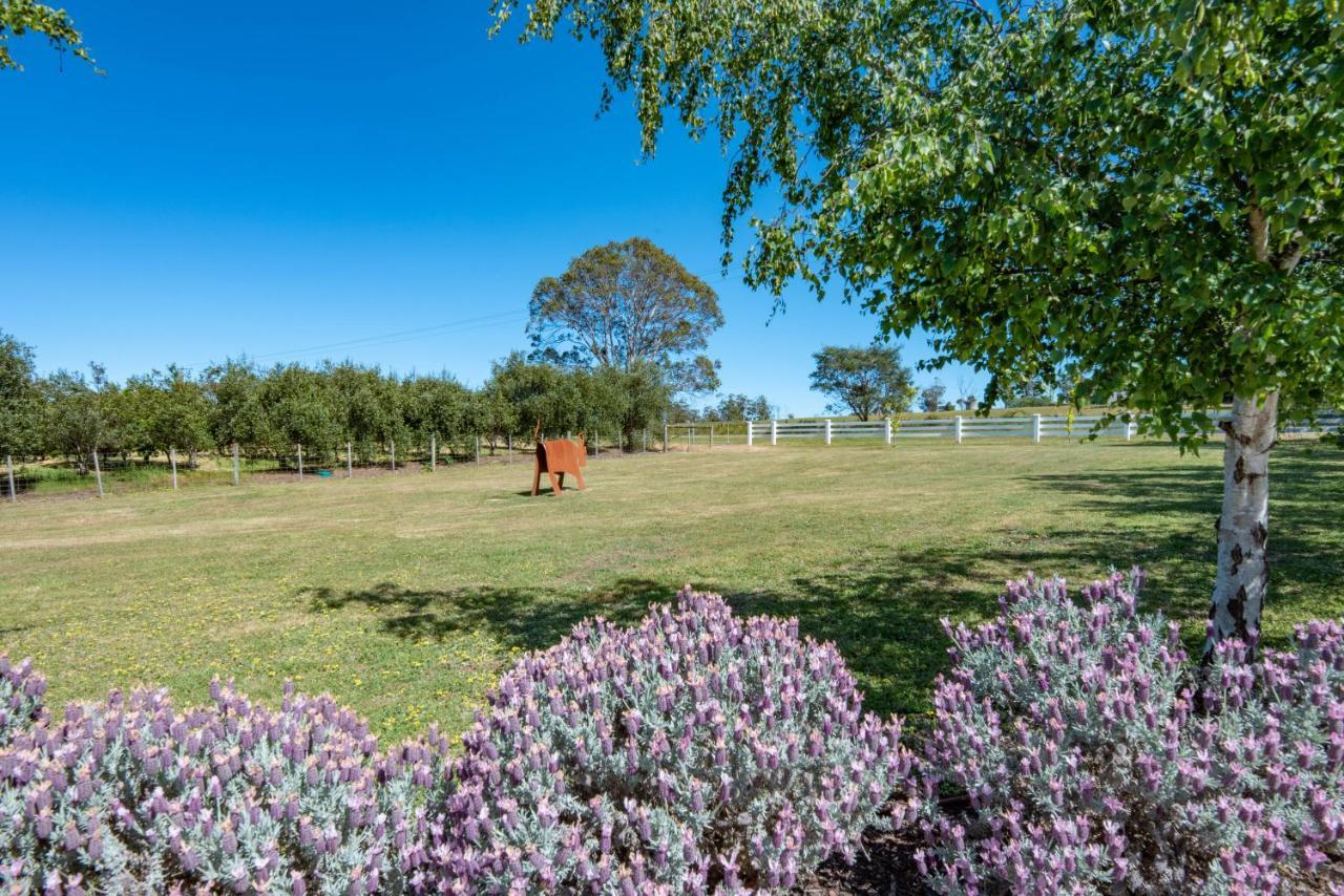 Exeter Hazelcreek Cottages מראה חיצוני תמונה
